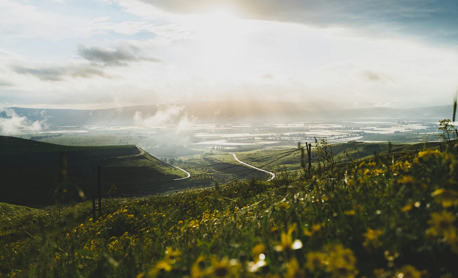 aviv-ben-or-g_Abgn1slAM-unsplash