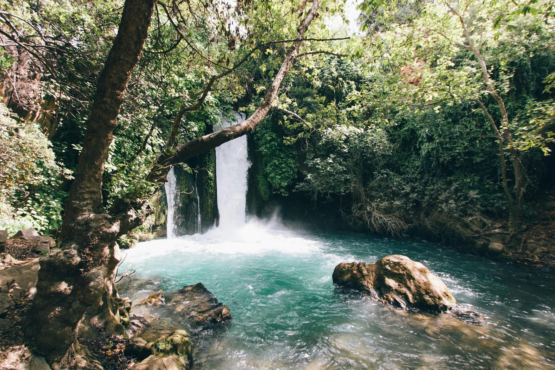 robert-bye-gFSqwxMTYXw-unsplash